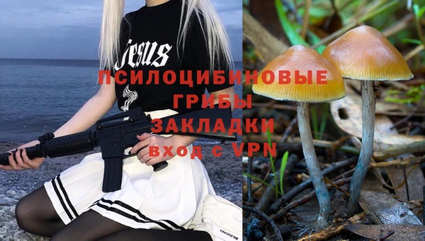 эйфоретик Надым