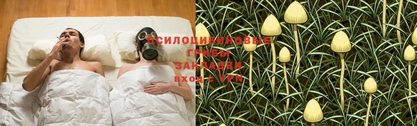 a pvp Абаза